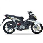 ACE 115-White (motorcycle)