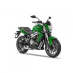 BENELLI TNT 300 (Green)