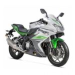 BENELLI 302R (Green) (motorcycle)
