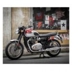 BONNEVILLE T120 (Red)
