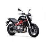 BENELLI TNT 300 (Black)