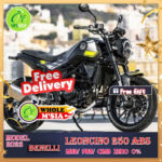 BENELLI LEONCINO 250 abs Interchanged model