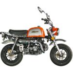 Skyteam BONGO 125-Motorcycle