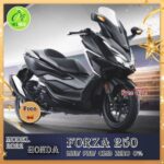 HONDA FORZA 250CC Model interchange