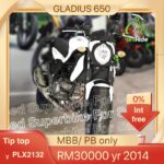 SUZUKI GLADIUS 650 YR 2014 PLX2132
