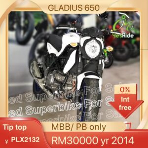 SUZUKI GLADIUS 650 YR 2014 PLX2132