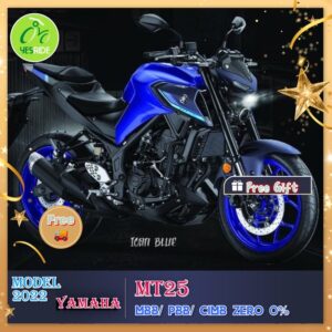 YAMAHA MT-25 MOTORCYCLE