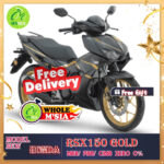 HONDA RSX150 INTERCHANGED Model