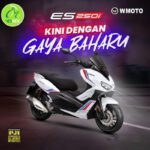 WMOTO ES250 MOTORCYCLE