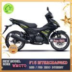 WMOTO F15 Interchanged model