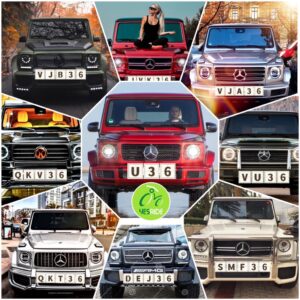 Yesride Nice Number Plate "36" Series