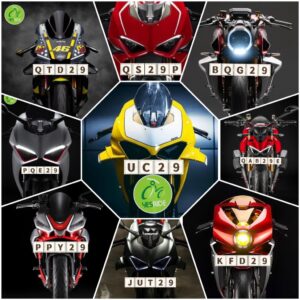 Yesride NICE Number Plate "29" Series