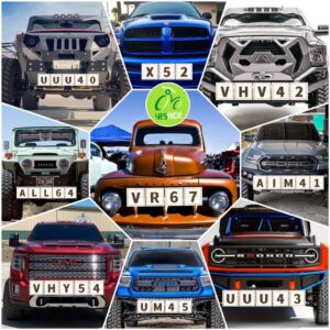 Yesride Nice Number for Sale "Duo" Series (40~69)