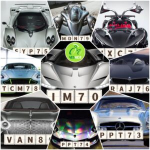 Yesride Nice Number for Sale "Duo" Series (70~99)