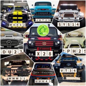 Yesride Nice Number for Sale "Duo" Series (11~39)