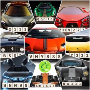 Yesride Nice Numbers for Sale "Triad" Series