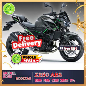 Kawasaki Z250 abs New Color model