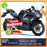 Kawasaki NINJA 250 new model