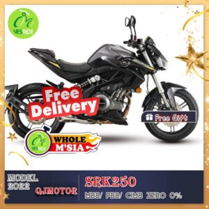 QJMOTOR SRK250 model 2022