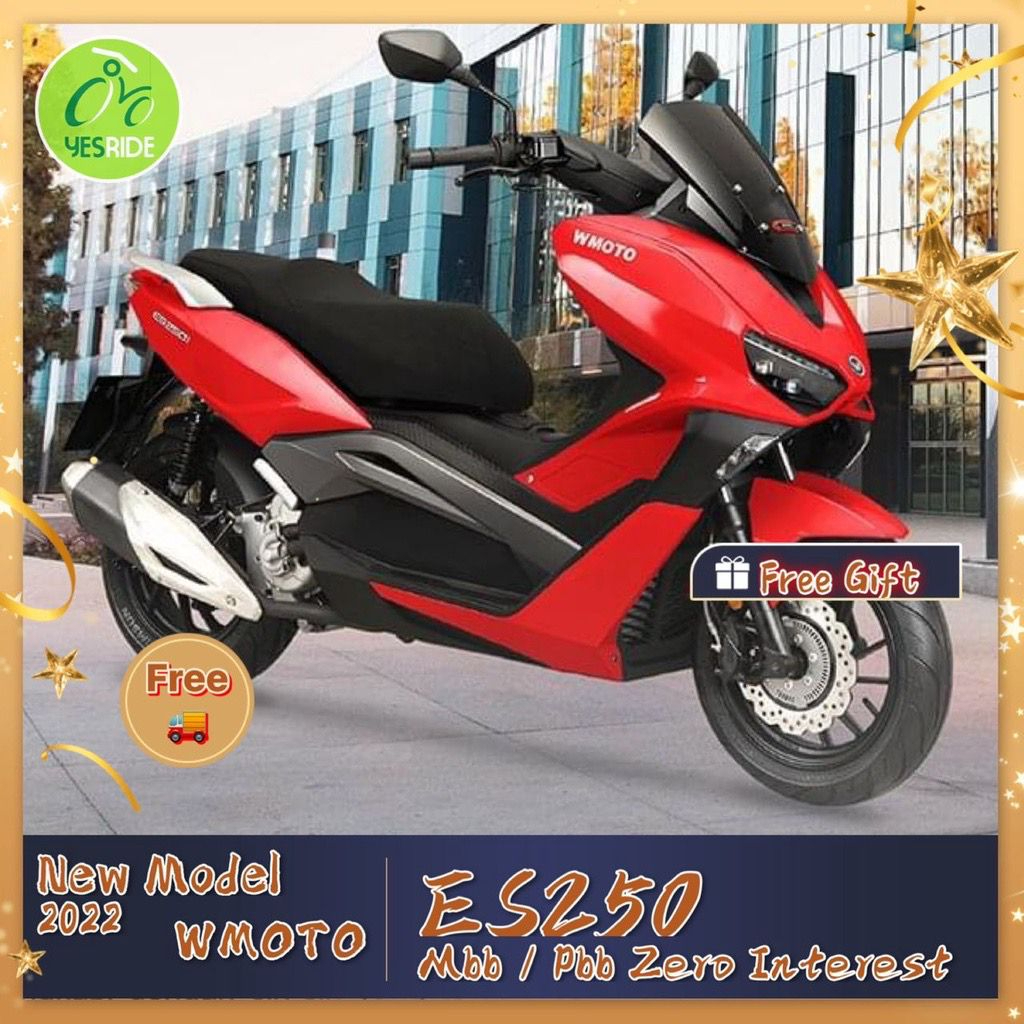 WMOTO ES250 Interchange Model - Image 3