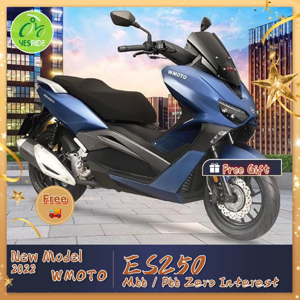 WMOTO ES250 Interchange Model - Image 5