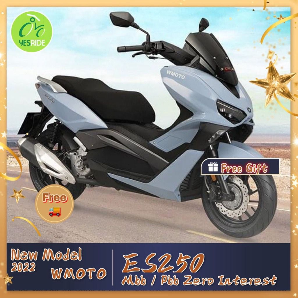 WMOTO ES250 Interchange Model - Image 4