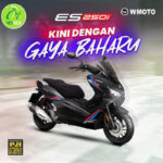 WMOTO ES250 Interchange Model