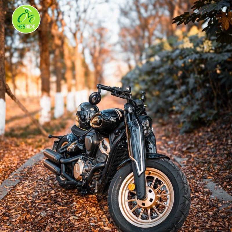 BENDA NapoleonBOB 500 Cruiser Model 2024 - Image 5