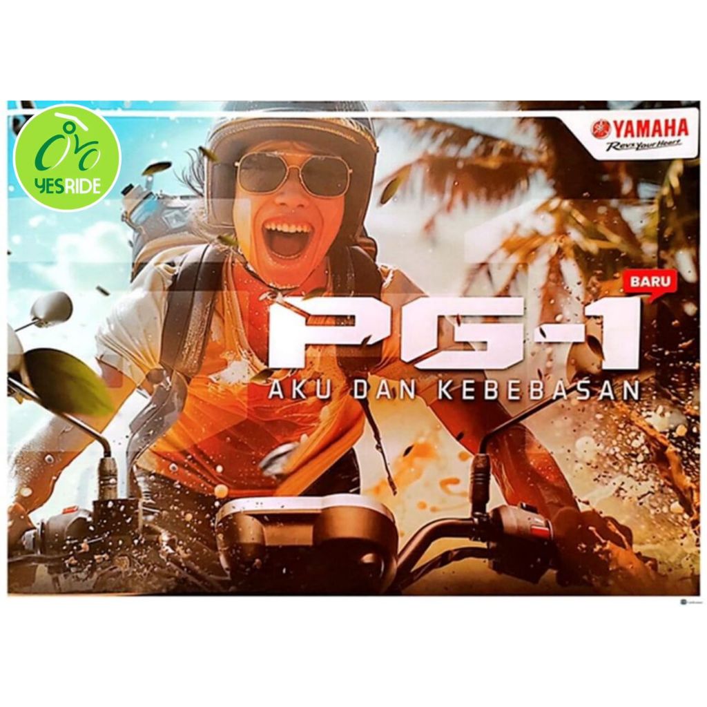 YAMAHA PG-1 MINI MOTOCROSS interchanged - Image 3