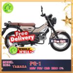 YAMAHA PG-1 MINI MOTOCROSS interchanged