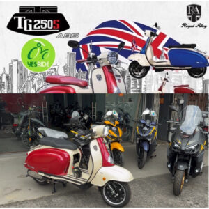 ROYAL ALLOY GP250 Yr2022 Meter 28k km ONLY