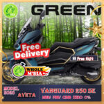 AVETA Vanguard 250 model SE & STD 2025