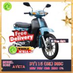 AVETA DY115 Std and SE model 2025