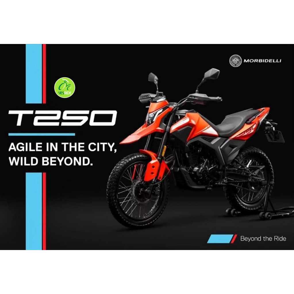 MORBIDELLI T250 new model 2026 - Image 4