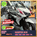 Wmoto Griffin 205 new model 2026